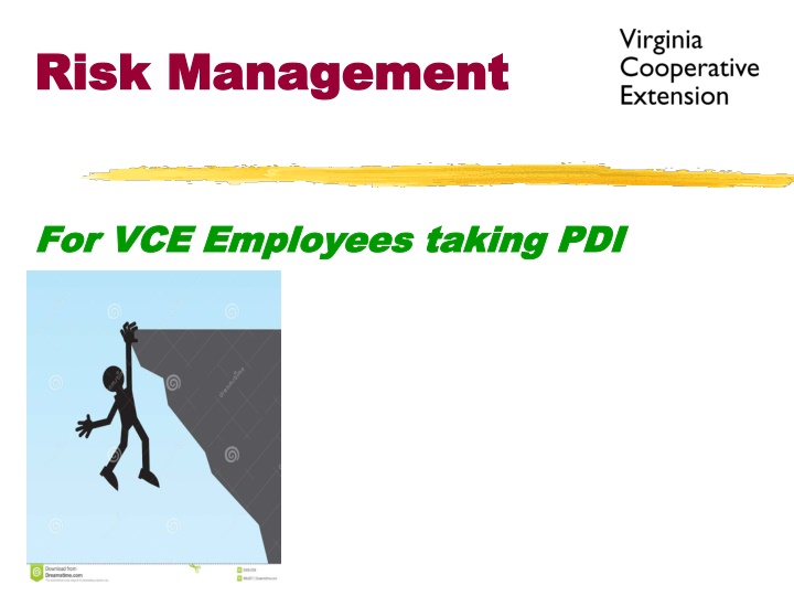 risk management risk management n.w