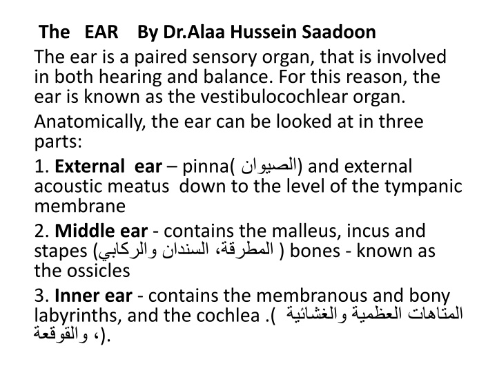 the ear by dr alaa hussein saadoon n.w