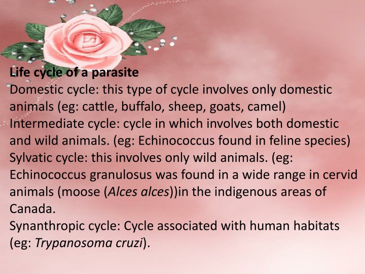 life cycle of a parasite domestic cycle this type n.w