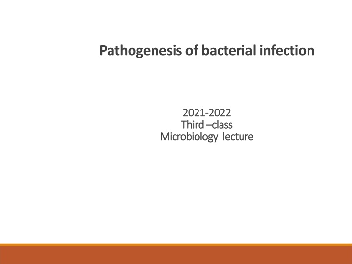 pathogenesis of bacterial infection n.w