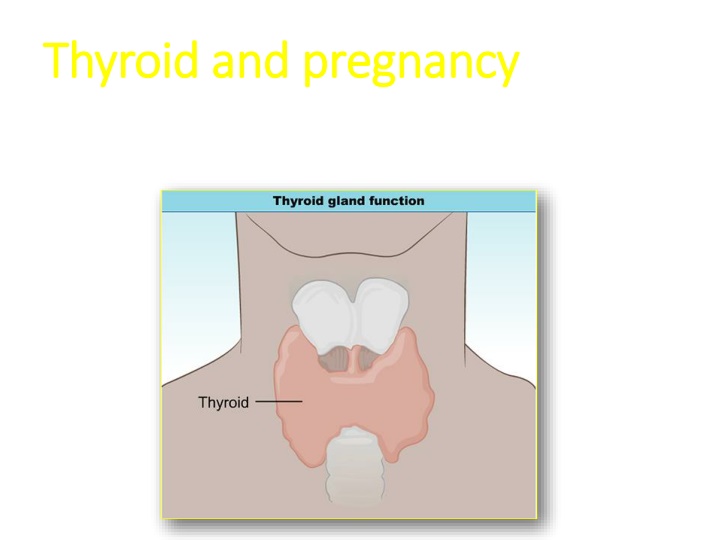 Thyroid Function in Pregnancy: Changes and Implications