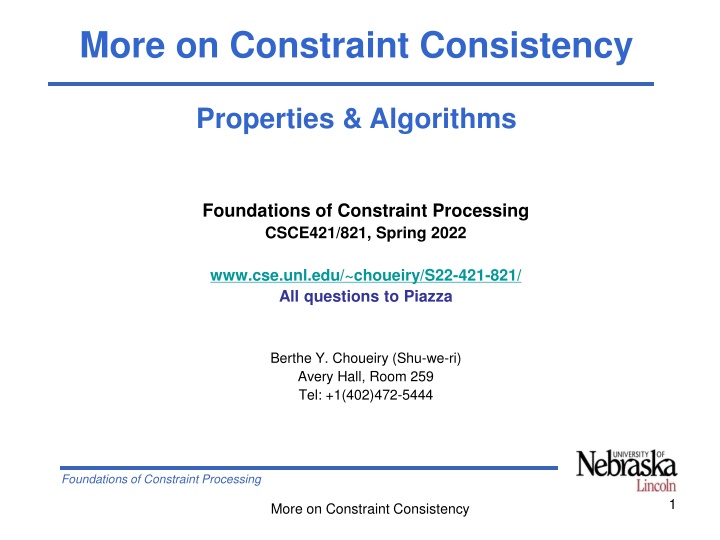 Foundations of Constraint Processing: Global Consistency Properties