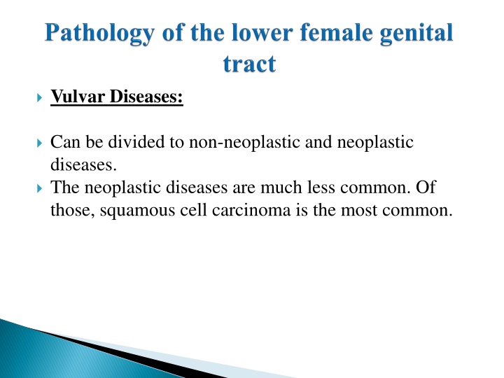 vulvar diseases n.w