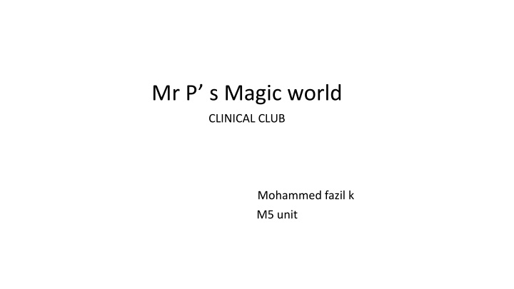 mr p s magic world n.w