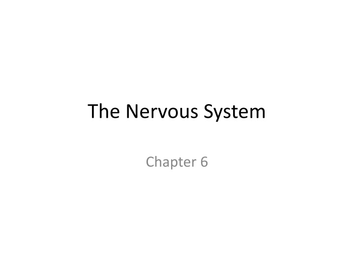 The Nervous System: Functions, Divisions, and Injuries