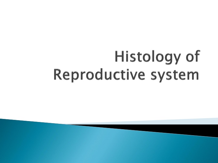 slide1 n.w