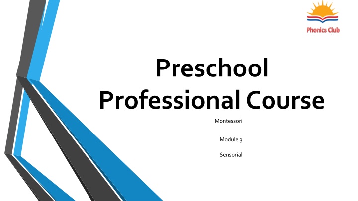 preschool professional course n.w