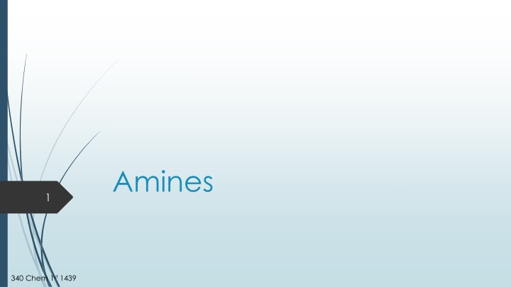 amines n.w
