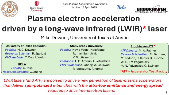 laser plasma acceleration workshop ischia n.w