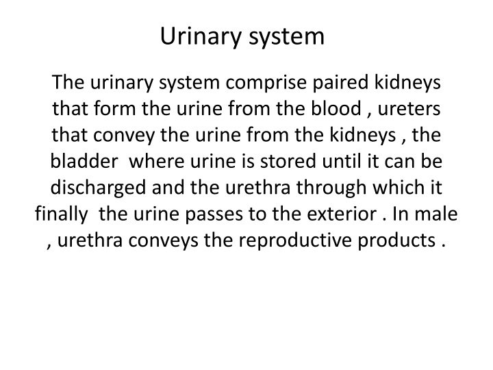 urinary system n.w