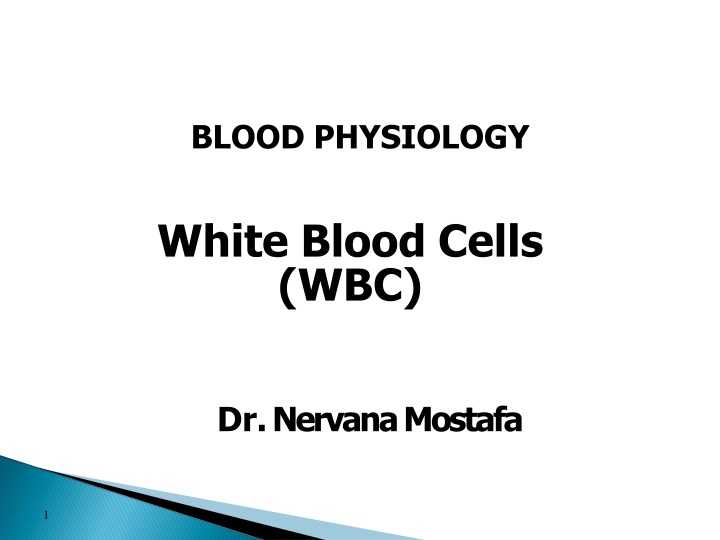 blood physiology n.w