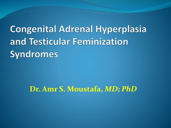 dr amrs moustafa md phd n.w