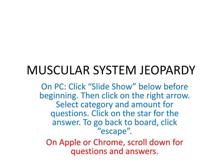 muscular system jeopardy n.w