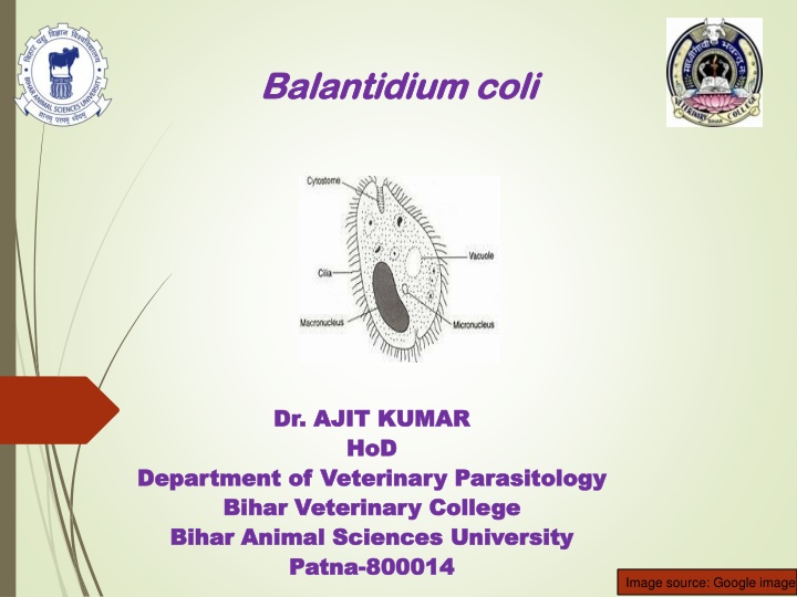 bihar animal sciences university n.w