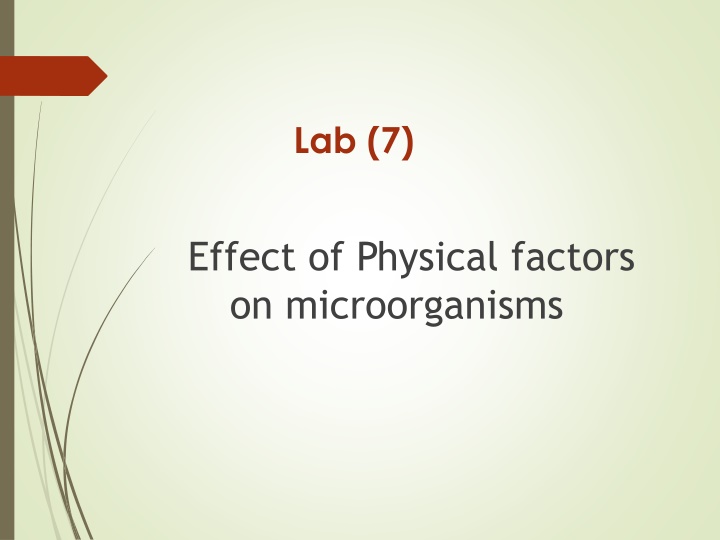 lab 7 n.w