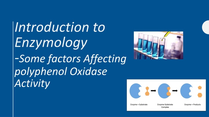 introduction to enzymology some factors affecting n.w