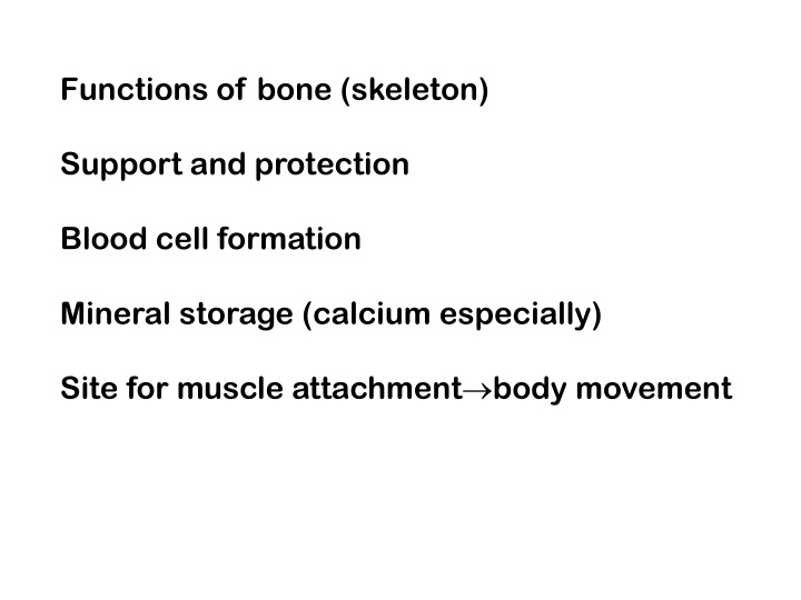 American Heart CPR & BLS: Emergency Response Steps
