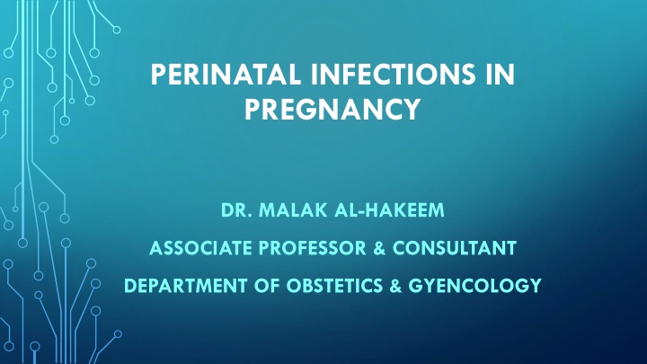 perinatal infections in pregnancy n.w