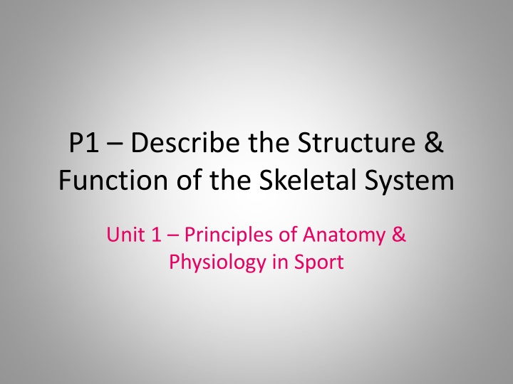 Skeletal System Structure & Function