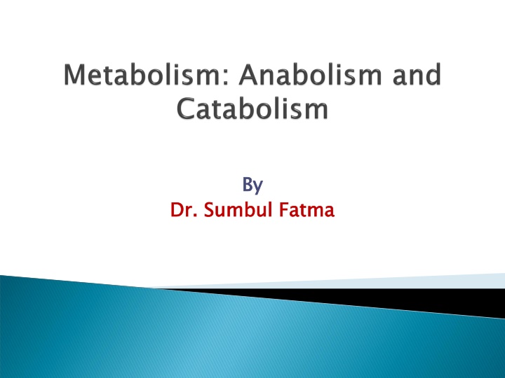 slide1 n.w