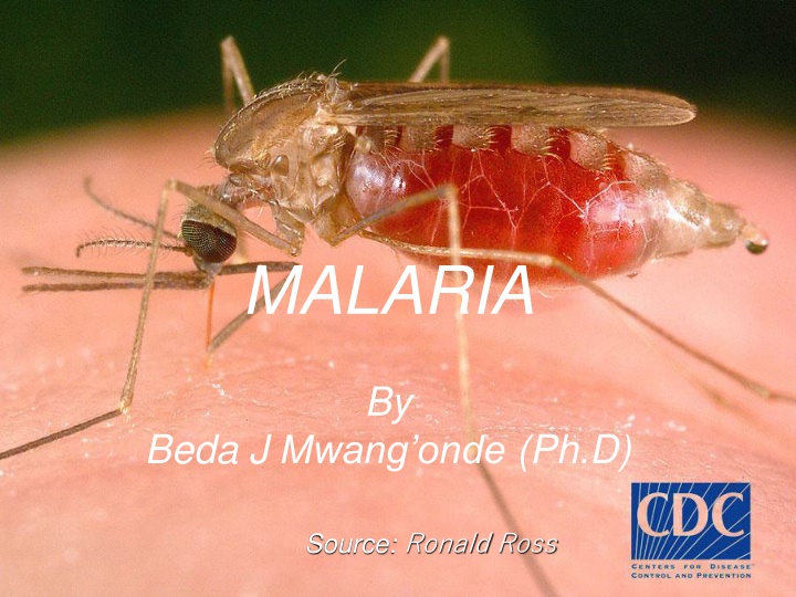 malaria n.w
