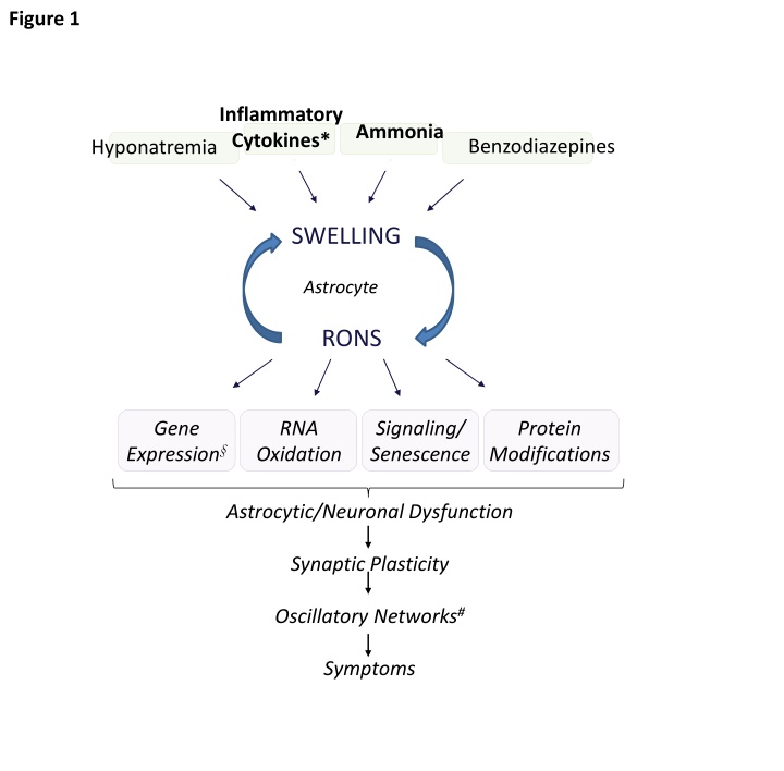 figure 1 n.w