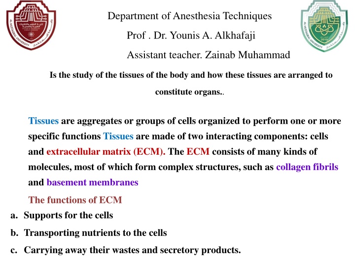 department of anesthesia techniques n.w