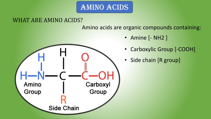 amino acids n.w