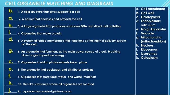 cell organelle matching and diagrams b a h i d n.w