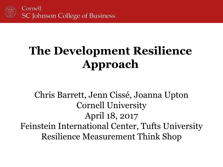 the development resilience approach n.w
