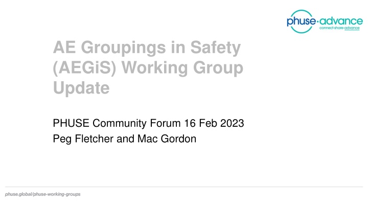 ae groupings in safety aegis working group update n.w