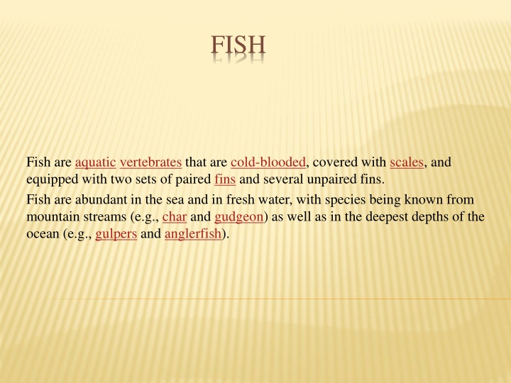The World of Fish: Aquatic Vertebrates and Their Diverse Characteristics