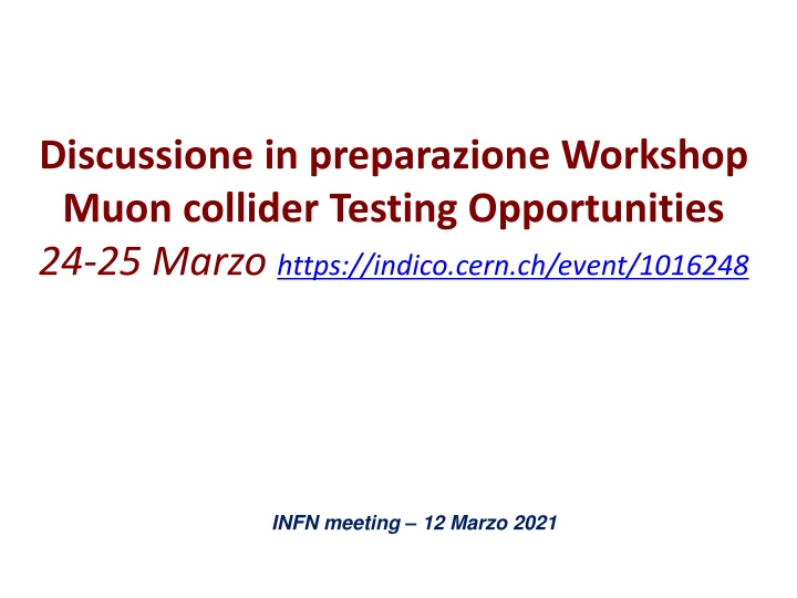 discussione in preparazione workshop muon n.w