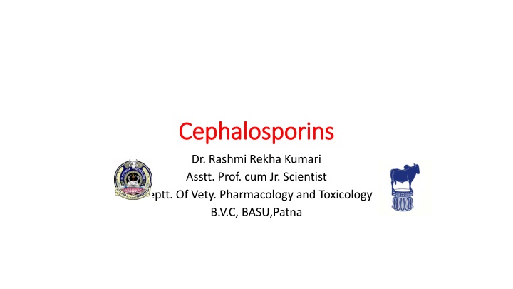 cephalosporins cephalosporins n.w