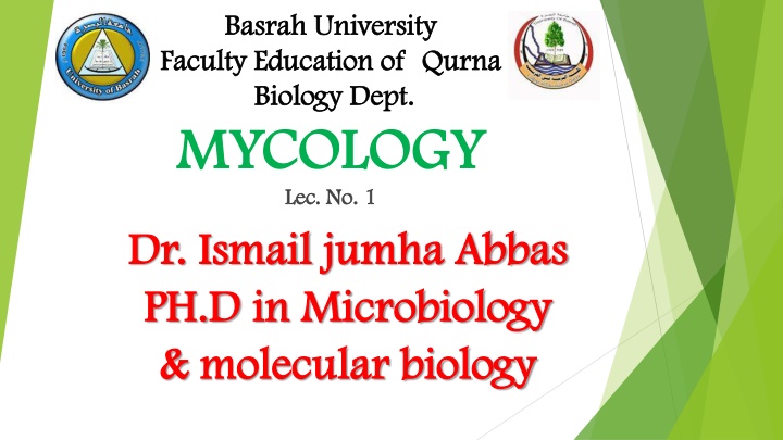 basrah university basrah university faculty n.w