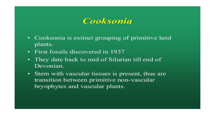 slide1 n.w