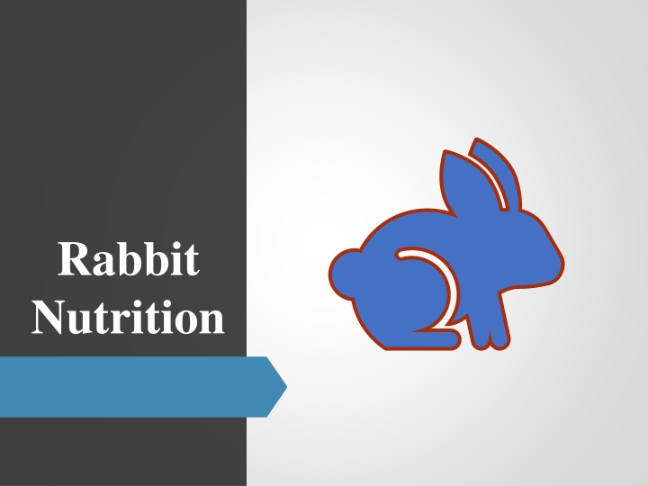rabbit nutrition n.w