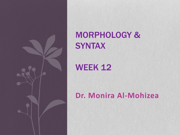 morphology syntax n.w