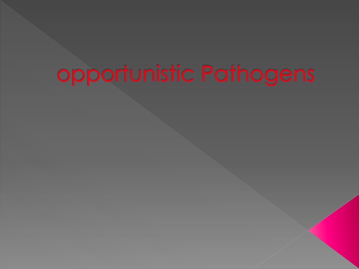 opportunistic pathogens n.w
