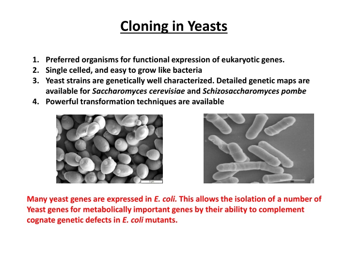 cloning in yeasts n.w