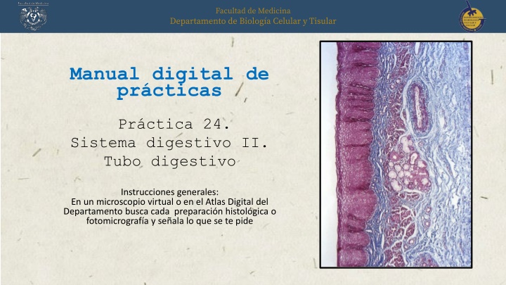 manual digital de pr cticas n.w
