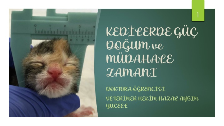 slide1 n.w