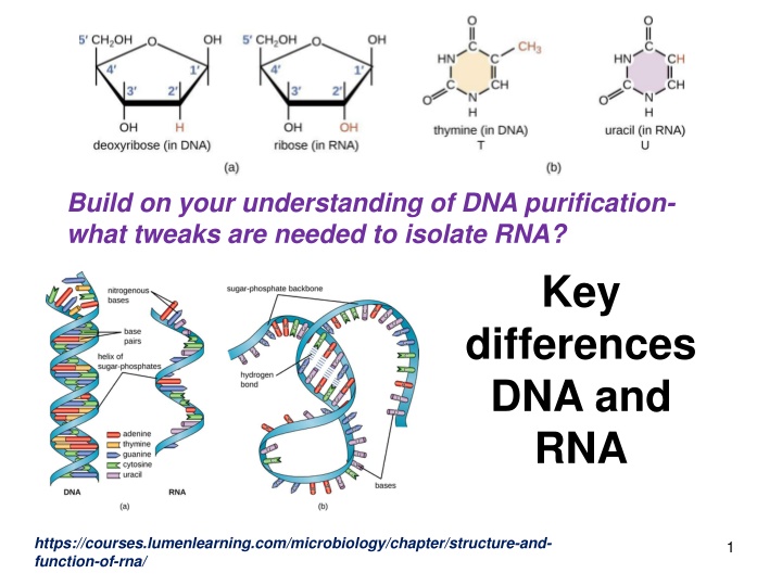 build on your understanding of dna purification n.w