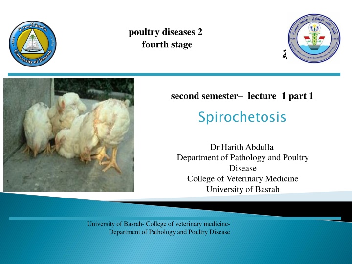 poultry diseases 2 fourth stage n.w