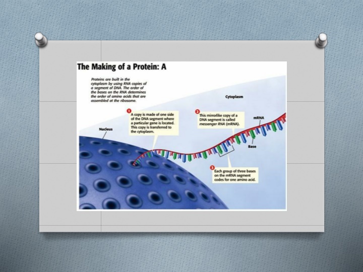 slide1 n.w