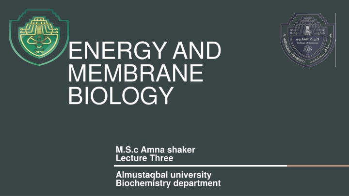 energy and membrane biology n.w