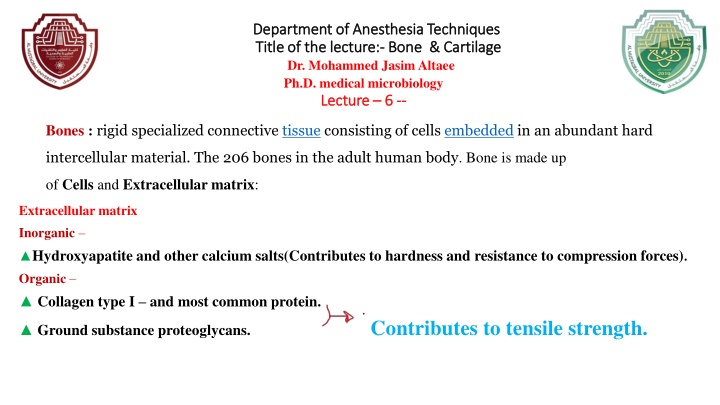 Bone & Cartilage: Rigid Connective Tissue in Human Body