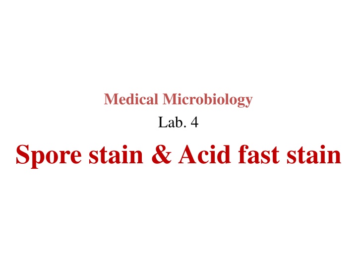 medical microbiology lab 4 n.w