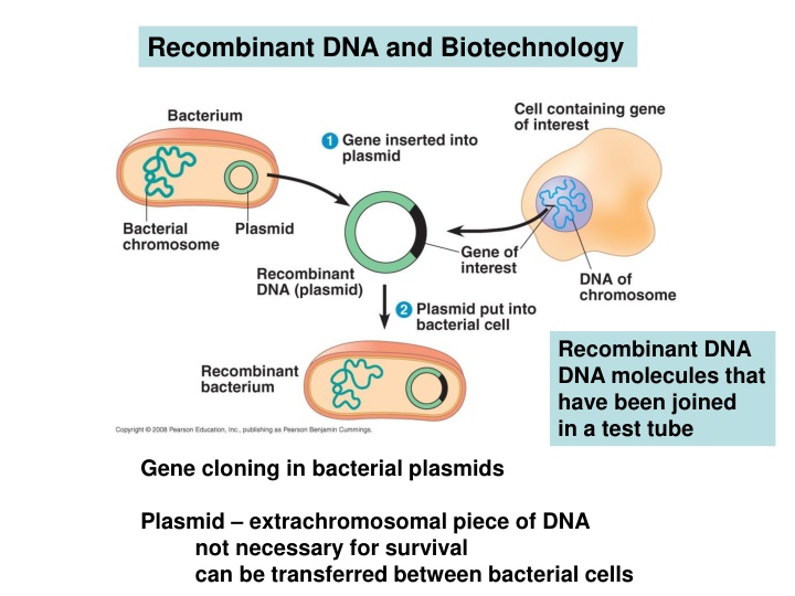 recombinant dna and biotechnology n.w