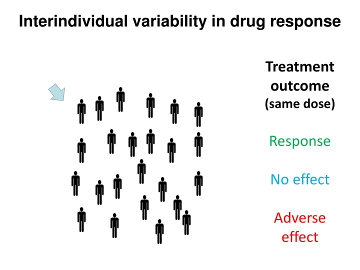 interindividual variability in drug response n.w